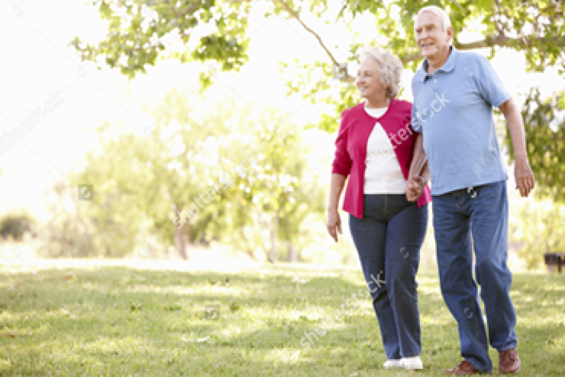 Projetos e Atividades